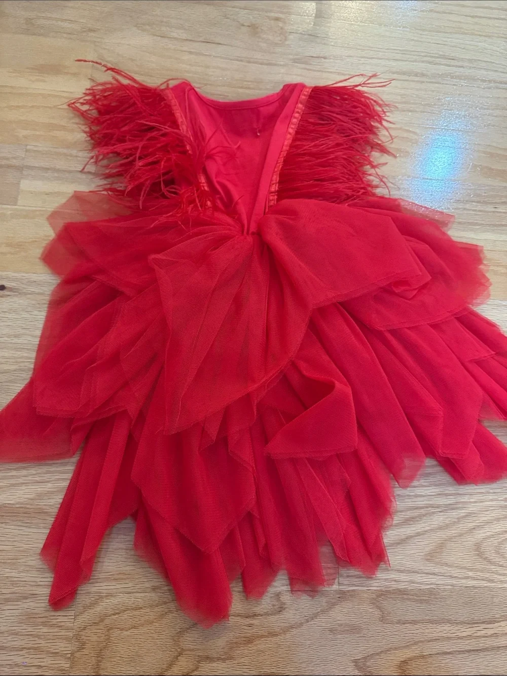 Lola and the Boys Red Feather & Tulle Kids Dress